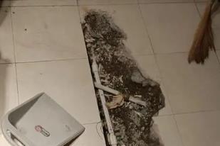 梅州市卫生间漏水检测电话